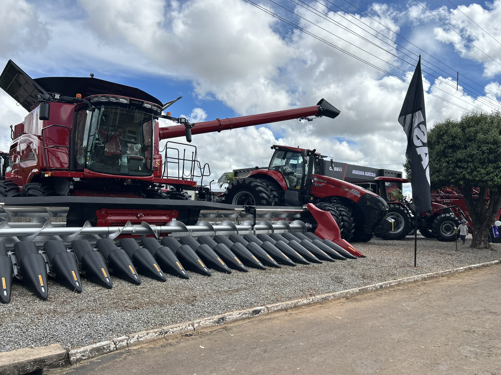 IMG_0871